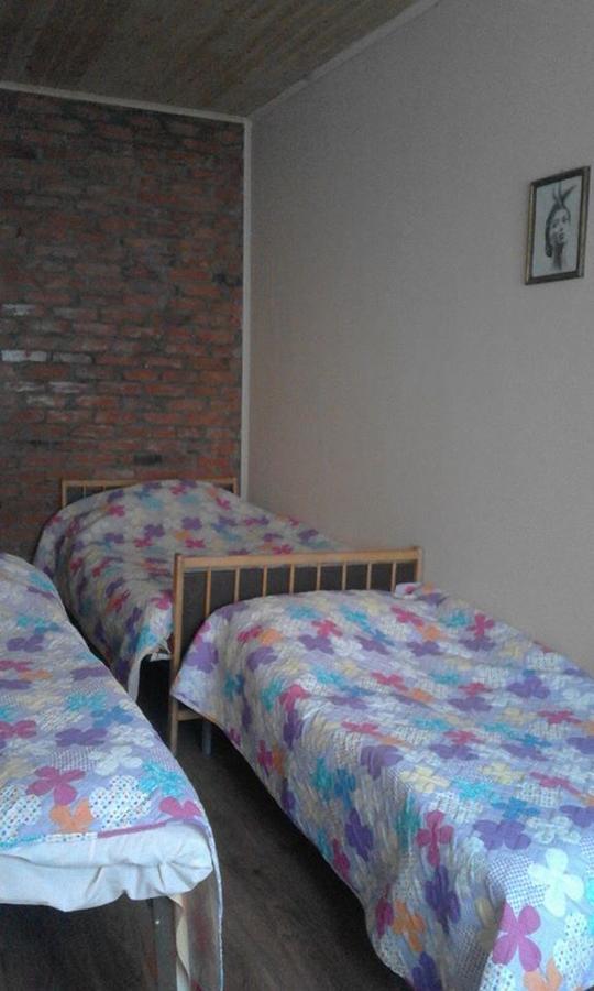 Marine'S Guest House Ananuri Екстериор снимка