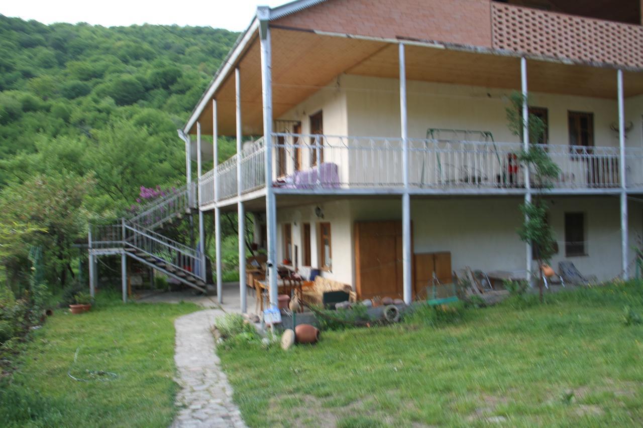 Marine'S Guest House Ananuri Екстериор снимка