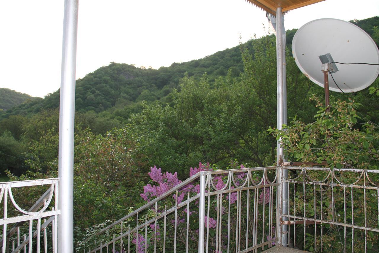 Marine'S Guest House Ananuri Екстериор снимка