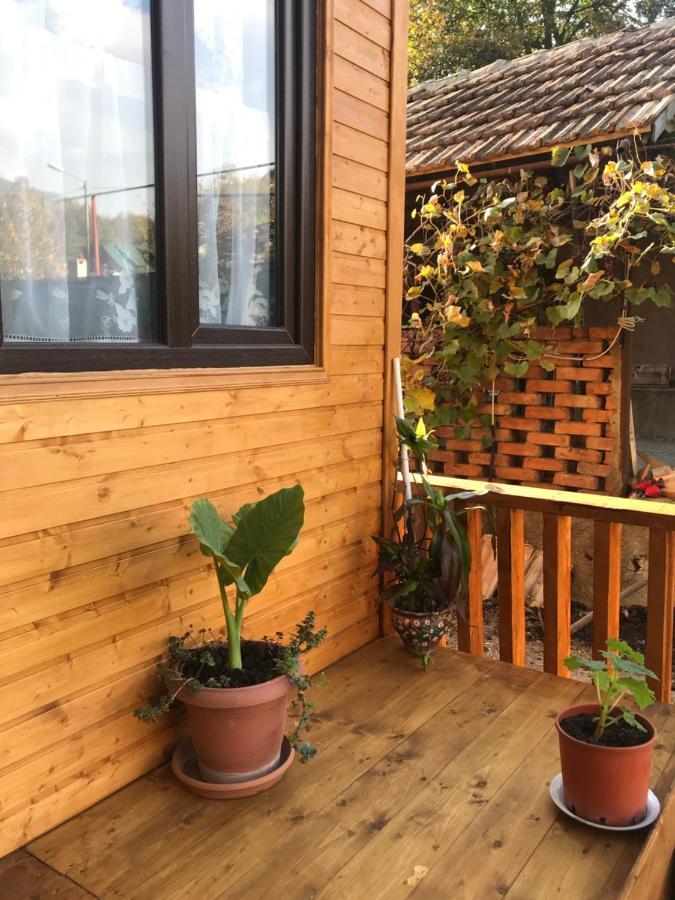 Marine'S Guest House Ananuri Екстериор снимка